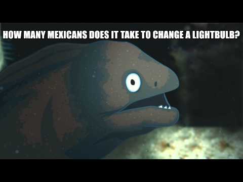 lightbulb---bad-joke-eel