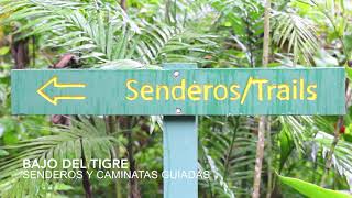 El Bosque Eterno De Los Niños