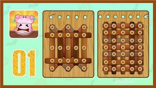 Wood Nuts & Bolt Puzzle - Gameplay e.01 (Level 1-5) screenshot 2