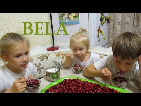 Универсальная ягода