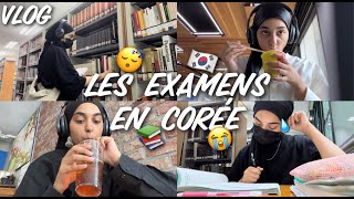 Tu veux souffrir? Viens étudier en Corée.