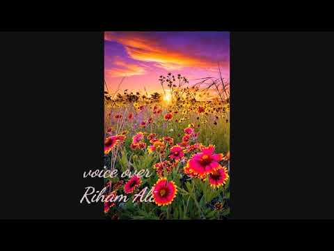 مقدمه برنامج اذاعي مسائي أداء ريهام علي 