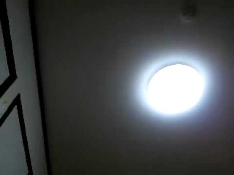 上からマリコ