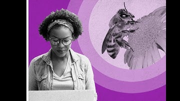 Interdisciplinary Learning: Working Across Disciplines - Online course (trailer)