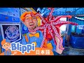 うみのいきものをしろう ☆ 英語を学ぶ ☆ Blippi Learns About Sea Creatures and the Ocean ☆ ブリッピー 日本語 ☆ 子供け教育動画 Blippi
