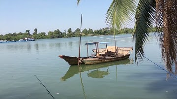 Câu cá Mè Vinh khủng sông Đồng Nai