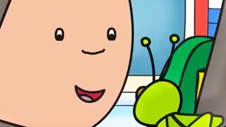 Caillou En Français Caillou Et Le Cricket Dessin Animé En Entier Wildbrain
