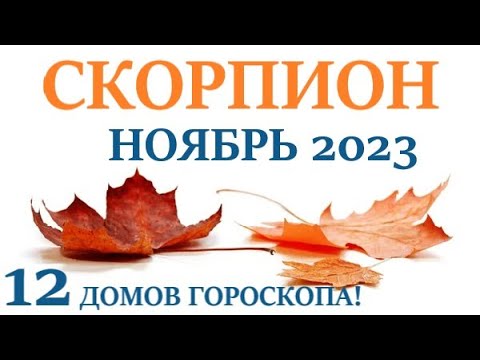 СКОРПИОН♏ НОЯБРЬ 2023🚀Прогноз на месяц таро расклад/гороскоп/👍Все знаки зодиака! 12 домов гороскопа!