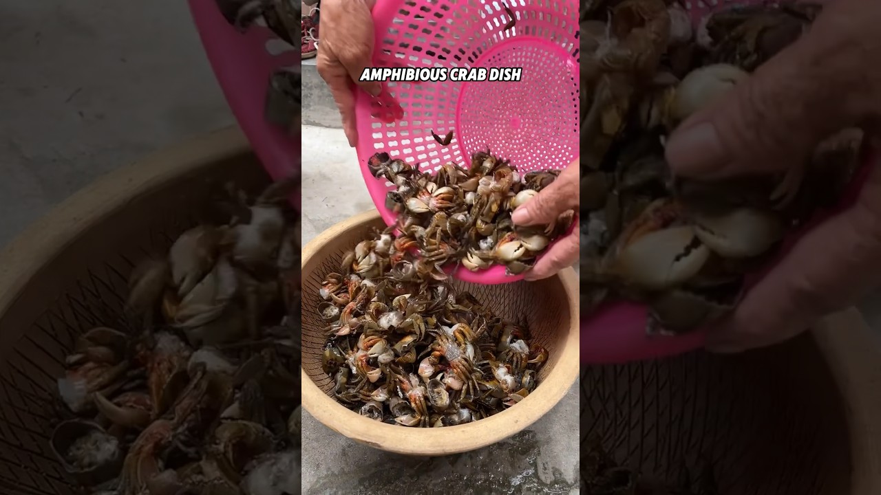 Amazing amphibious crab sauce.