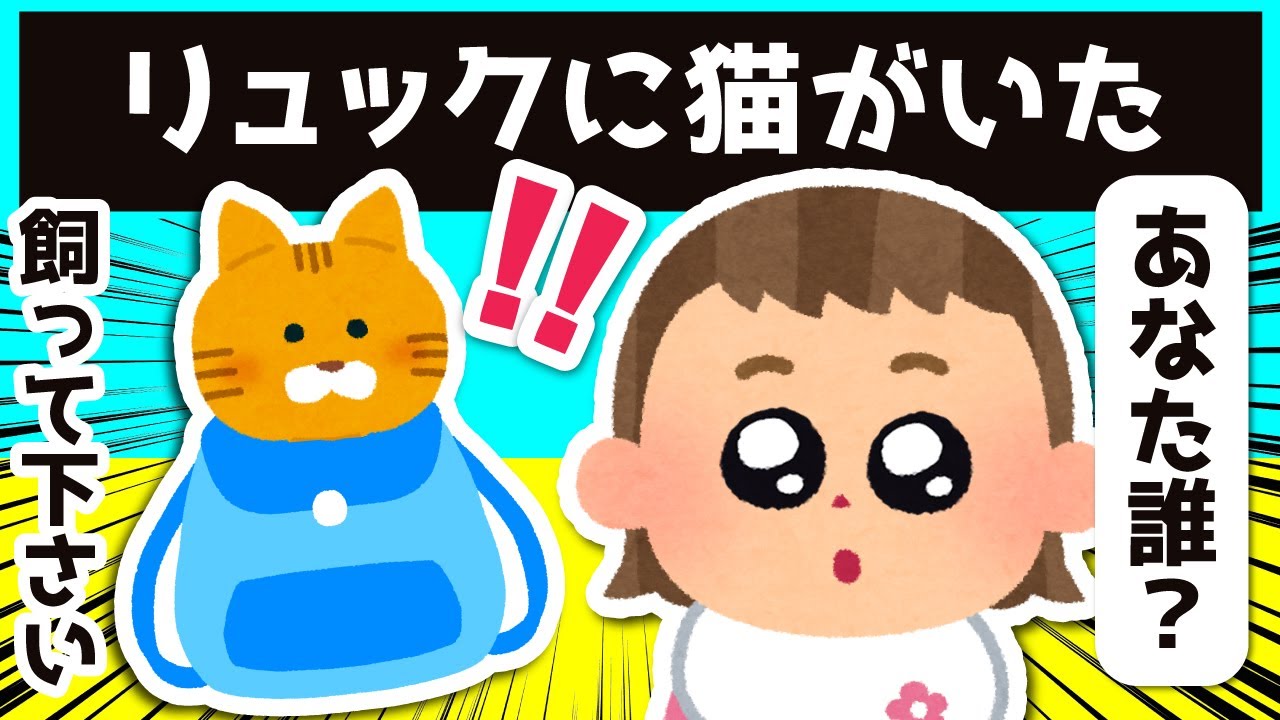 リュックの中に知らない猫が入っていた結果…ｗｗｗ