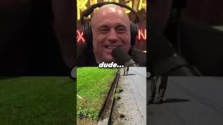 Shane Gillis : As Close As It Gets... #shanegillis #joerogan #shorts