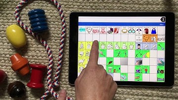 Playing In AAC! Beads with LAMP Words for Life