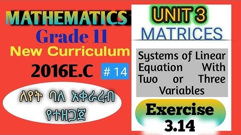 Grade 11 Maths Unit 3 Systems of Linear Equation|| # 14 Exercise 3.14 Maths With Fikru||