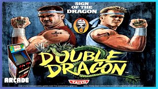 Double Dragon - Arcade Machine gameplay on Mister FPGA