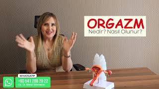 Orgazm Nedir? Nasıl Olunur? Orgazmı Fiziksel Kriterlerle Açıklıyoruz