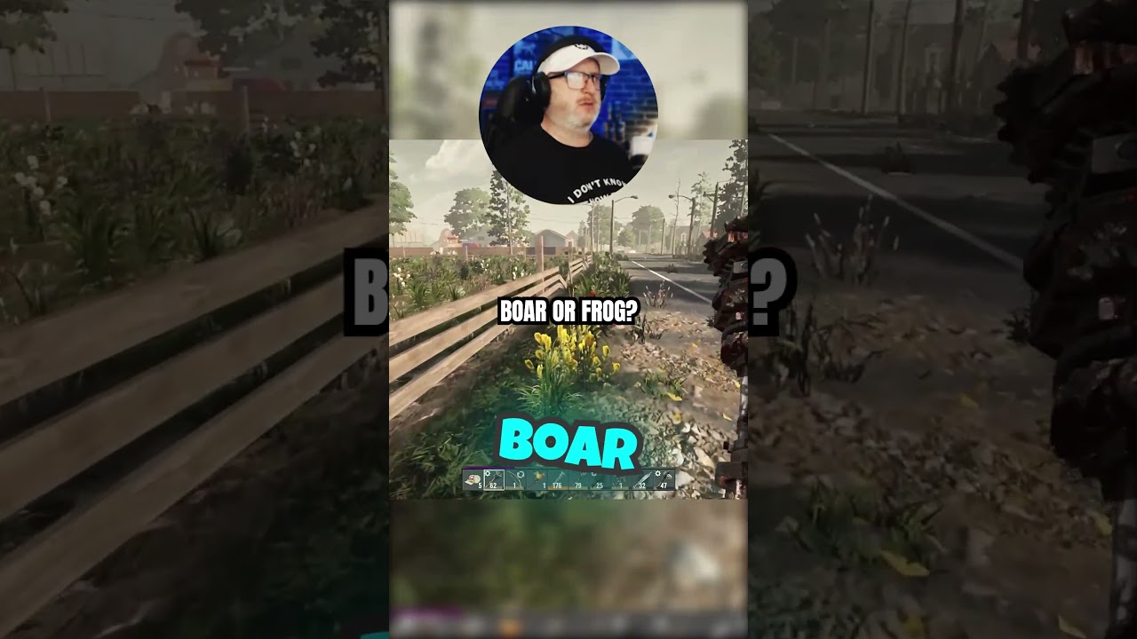 Boar or Frog  Who Knows!