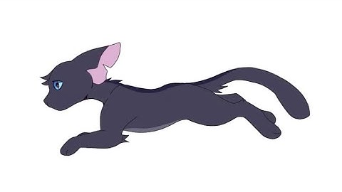 Cat Run Cycle Test - Animation (Flip-a-Clip)