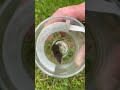 Guess what is it?