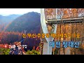 늦가을 단풍 명소 🍂 장태산 스카이웨이 | 성심당 부티크