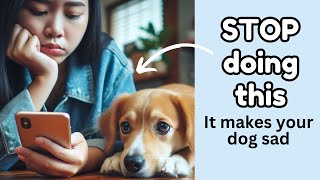 8 Bad Habits dog owners need to stop (in order to have a happy dog) by Wellness for Pets 338 views 2 months ago 8 minutes, 21 seconds