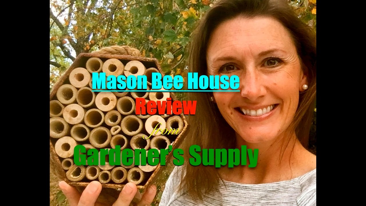 Rustic Mason Bee House Review from Gardener's Supply Company YouTube