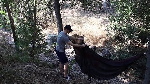 How to setup your bug net for a hammock: Bug free camping