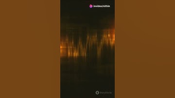 The Law of Reflection Explained|  #facts #law #reflection #physics #science