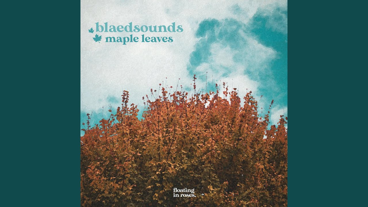 Obejrzyj mapleleaves w YouTube Obejrzyj mapleleaves w YouTube