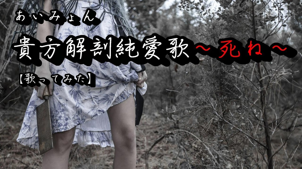 あいみょん『貴方解剖純愛歌～死ね～』歌ってみた｜フル（歌詞付き
