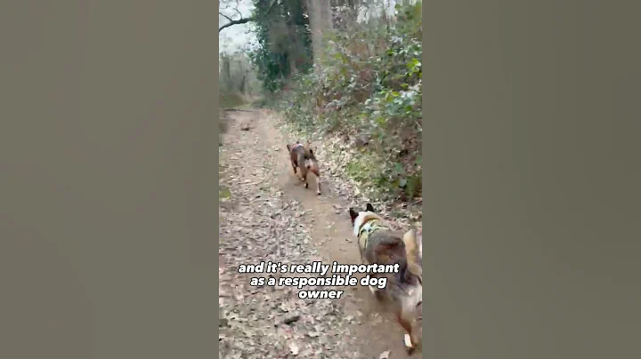 Why I'm training Lola with a muzzle