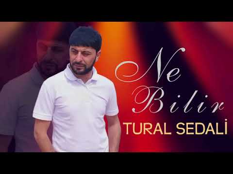 Tural Sedali - Ne Bilirsen 2022