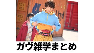 仮面ライダーガヴの雑学 総集編