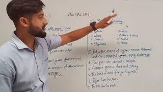 Class II (EVS) : Chapter 3 : Animal Life (Exercises)
