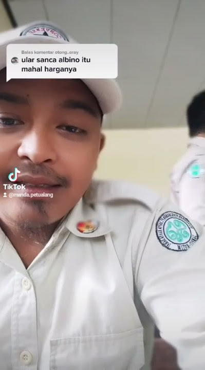 VISI MISI VISI MISI | TIKTOK | MANDA PETUALANG