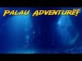 Palau Scuba Adventure! | JONATHAN BIRD'S BLUE WORLD