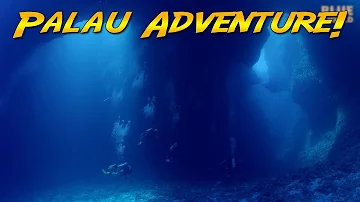Palau Scuba Adventure! (World's best diving?)
