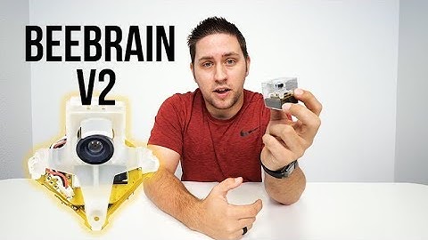 BeeBrain V2 Introduction