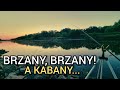 316 brzany brzany a kabany nocka z ywioem 