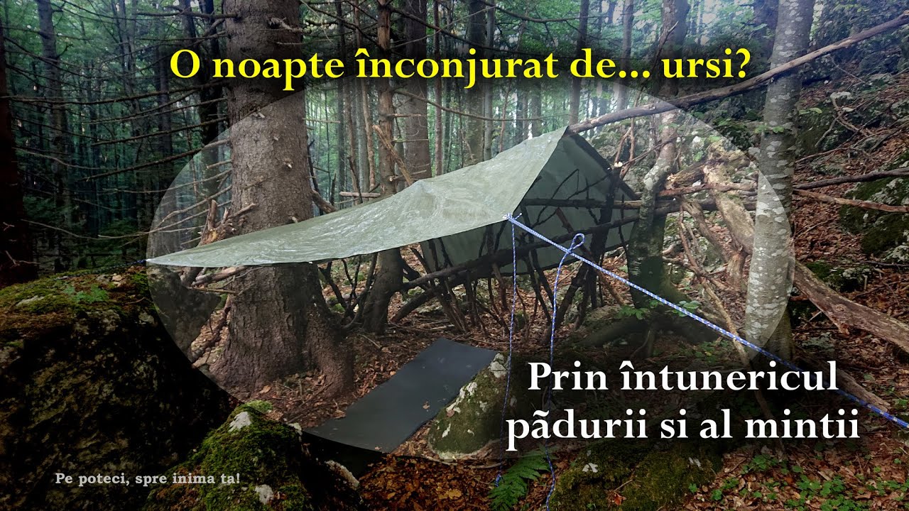 O noapte singur în pădure. Pe poteci, spre inima ta! S3 - Ep20 (94)