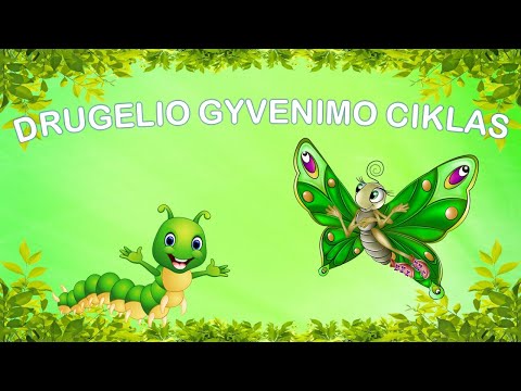 Video: Kaip sukurti deginimo paveikslą (su paveikslėliais)