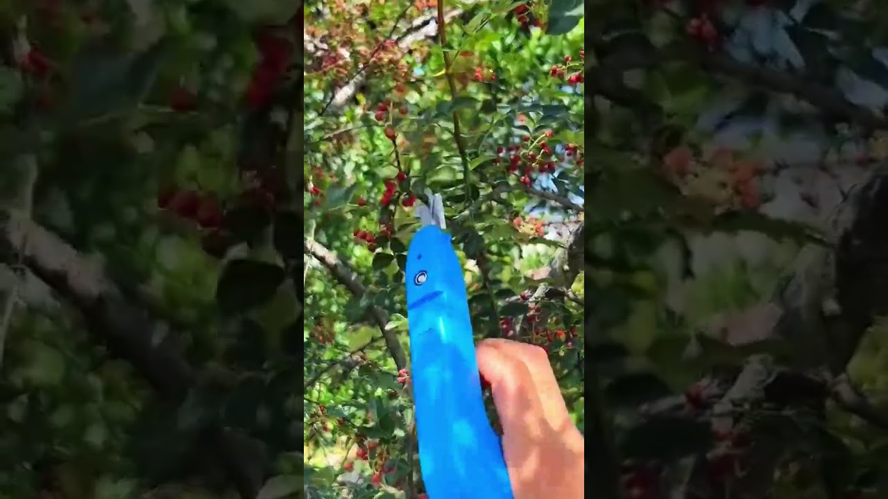 Alat pemetik buah dan sayur yang sangat unik 