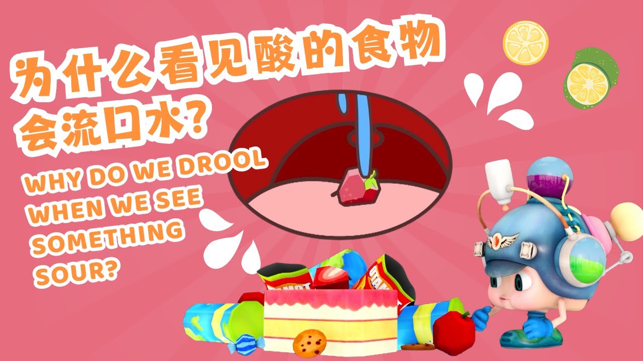 Why We Drool When We See Something Sour 为什么看见酸的东西会流口水｜Health｜百科故事｜儿童科普 ...