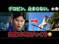 デコピン、止まらない。🐶⚾️ 大谷パパもびっくり😅