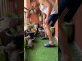 Leia enters the garden and tries to escape 🐾