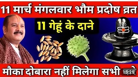 11मार्च 2025प्रदोष व्रत को 11 गेहूं के दाने वाला उपाय जरुर करे ||Pradeep Ji Mishra #प्रदोषव्रत​