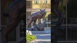 Visit JWU Charlotte #Shorts