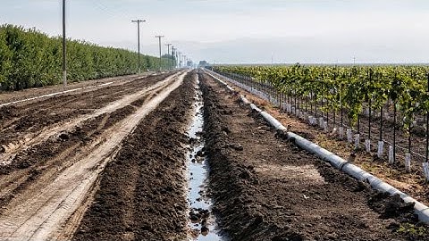 The innovations and ideas changing agriculture, part one