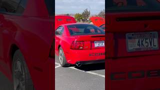 Twin Brother Mustang Meet New Edge Ford Mustang Cobra Bullitt Mach 1 Gt Svt Terminator
