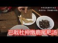 巴戟杜仲燉鹿尾羓汤—【Maybel话你知】Morinda Root ,Du zhong, Deer tail soup