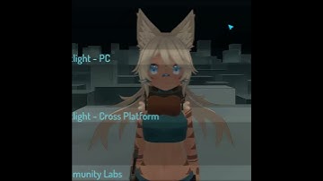 vrchat muteself parameter no work with push to talk